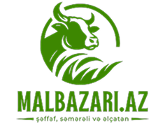Malbazari